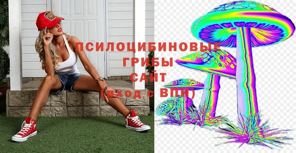 a pvp Алексин