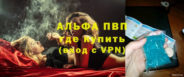 гидра Алексеевка