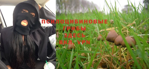 a pvp Алексин